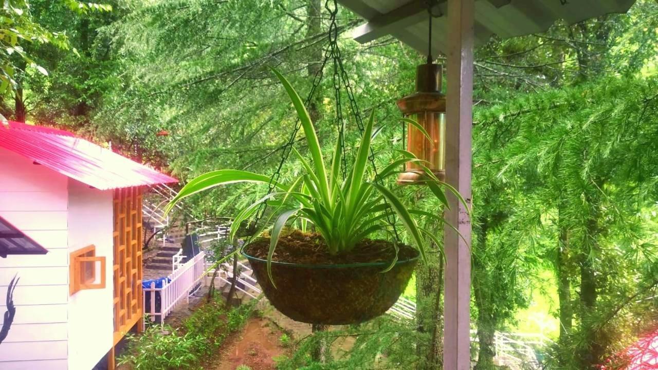 Aamod At Shoghi Luxury Cottage Resort Shimla Exterior photo